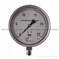 Stainless steel test pressure gauges 14
