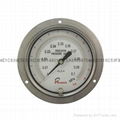 Stainless steel test pressure gauges 15