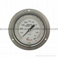 Stainless steel test pressure gauges