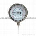 Bimetallic thermometer