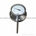 Bimetallic thermometer