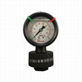 Pressure gauge for filter