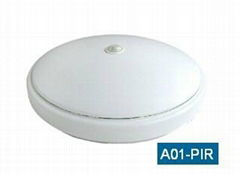 12W& 15W&18W& 20W PIR LED ceiling light