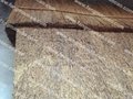 供應天然蘆葦-儕聯製造 1