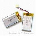 Lithium Polymer Battery Pack