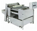 Automatic Egg Peeling Machine