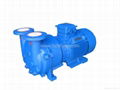 2BV5110 water ring vacuum pump