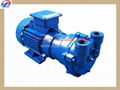 2BV2061-EX water ring vacuum pump 1