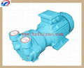 2BV2061 water ring vacuum pump