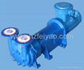 2BV6110 explosion proof water ring