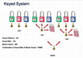 BO-G11 38mm short Nylon Shackle Padlock (Non-conductive) 