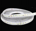 BO-SL60-110V(A) High Voltage LED Mining Strip Light 1