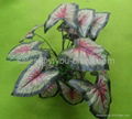 aquarium plastic plants 4