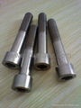 DIN6921 GR5 titanium bolts 1