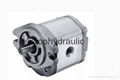 gear pump