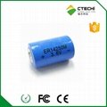 ER14250 3.6V 1.2Ah Lithium ion battery  