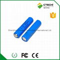 ER10450 950mAh 3.6V AAA Li-SOCL2 Battery