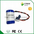 ER14250 3.6V 12Ah with wires and