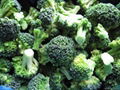 frozen broccoli 1