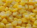 frozen sweet corn