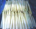 frozen white asparagus 1