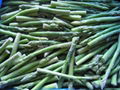 frozen green asparagus 2