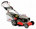 19" lawn mower with Chinese engine 5