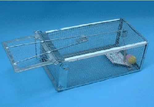 高靈敏單開門捕鼠器 4