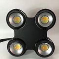 China 400W COB IP65 par LED light