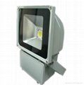 free sample LED FLOOD LIGHT with meanwell power supply and bridgelux LED chip