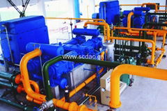 CNG booster compressor