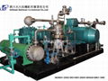 Various Gas Booster Compressor for Power Plant and Offshore Natural Gas Pipeline 2