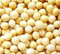 Soybean P.E. Soy Isoflavone40% 80%  for women's health 4