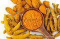 Turmeric root extract natural curcumin