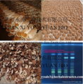 manufacturer supply  Reishi Mushroom Extract 10-30%Polysaccharides