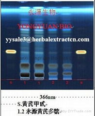 SALE! Astragalus Extract. Polysaccharide