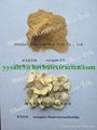 SALE! Astragalus Extract. Polysaccharide 50% UV, Chinese manufacturer, exporter  3