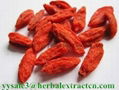 Wolfberry P.E （Goji berry extract）