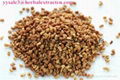 Fenugreek Seed P.E. 4-Hydroxyisoleucine 20% weight control blood glucose protec 3