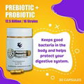 PREBIOTICS AND PROBIOTICS