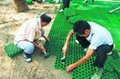 西安塑料植草格