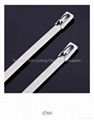 Stainless Steel Cable Tie