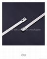 Stainless Steel Cable Tie