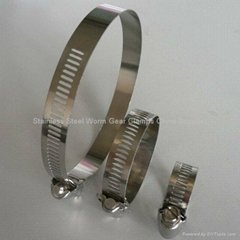 Stainless Steel Worm Gear Clamps China Supplier