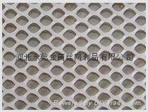 纯白透明0.8-6公分孔塑料养殖网 4