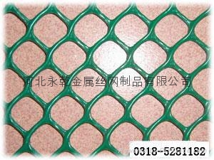 0.3/0.5/0.8cm孔汽车靠垫塑料网 5