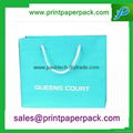 Fashion Luxury Full Color Customized Garment Gift Bag
