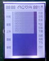 LCD module for financial POS equipments