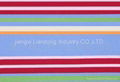 Stripe fabric 1