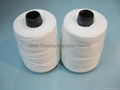 Bag Closer Sewing Thread